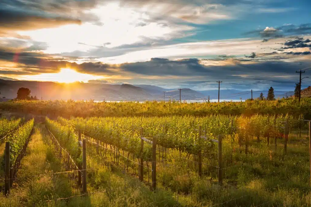 water leak detection for wineries